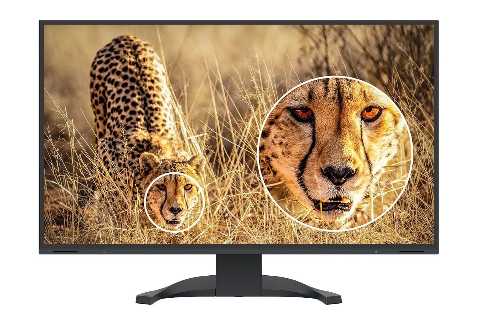 EIZO Flexscan EV3240X - 4K UHD - 32" - IPS LED - Colour Accurate