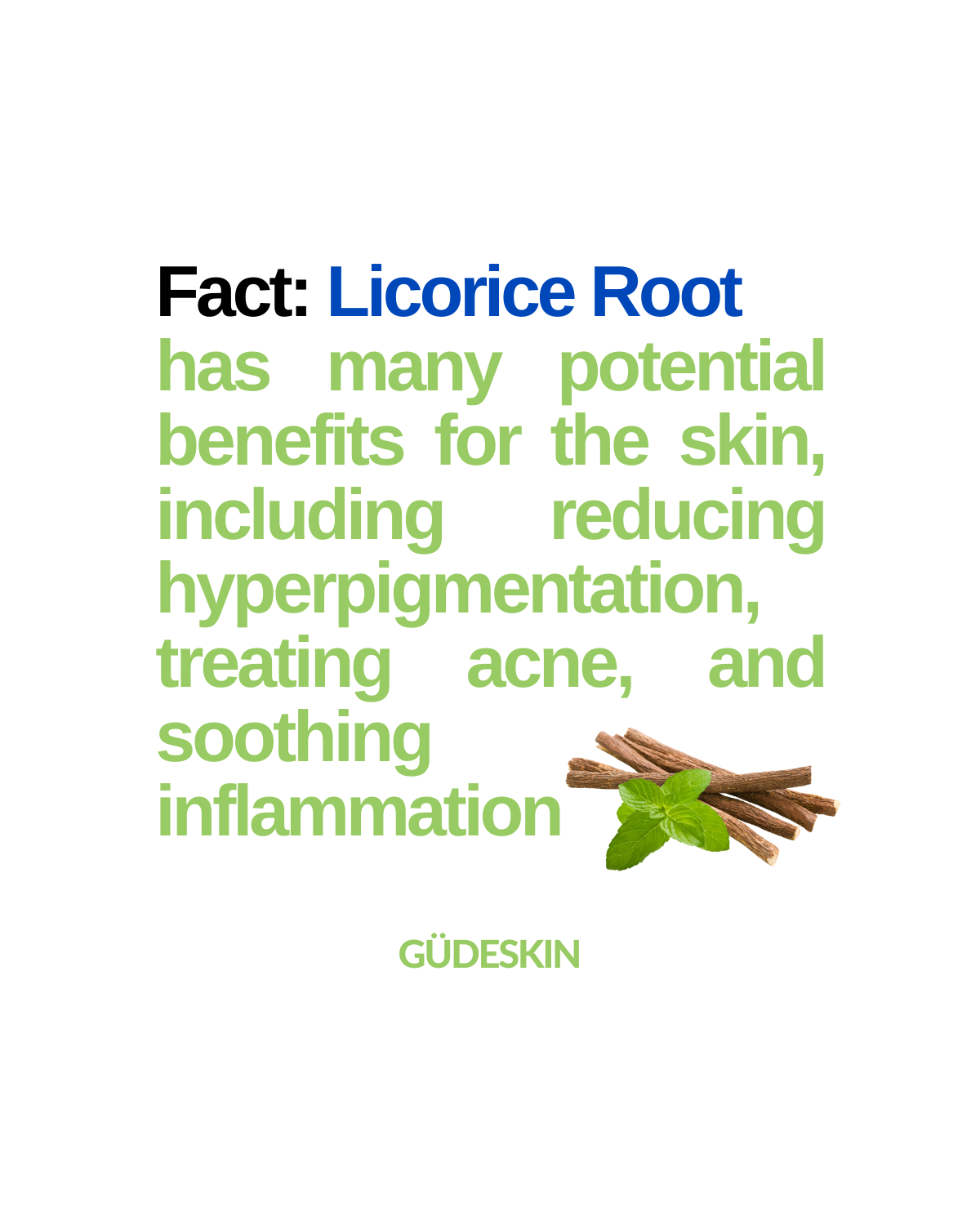GUDE SKIN PRODUCT INFO .png