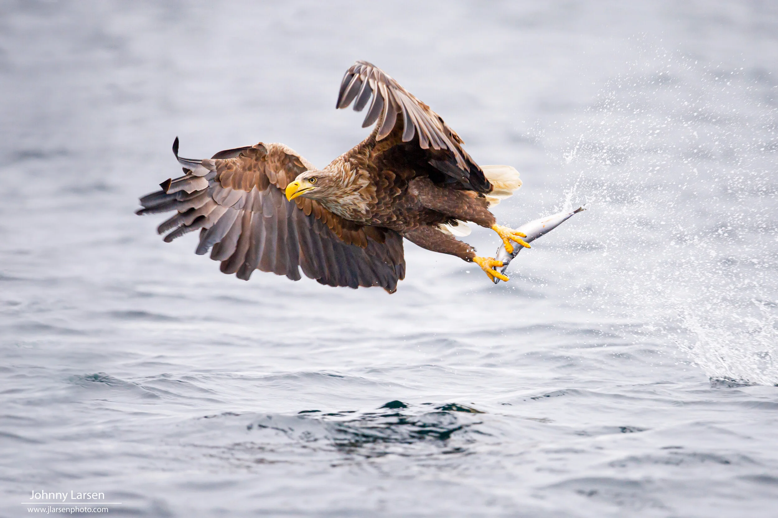 D3S_0024_1-Edit.jpg