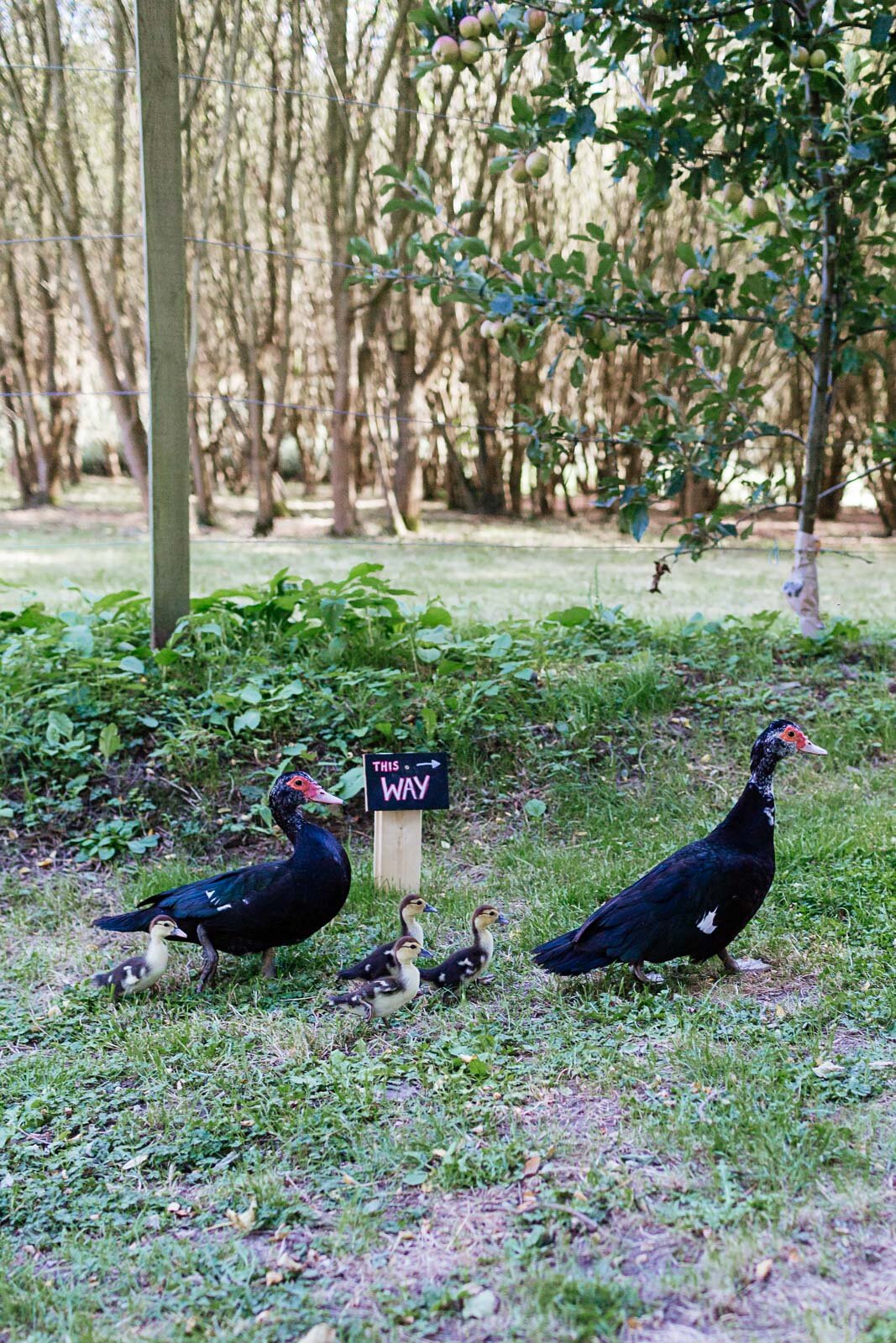 Wedding Photography Jersey_-286.jpg