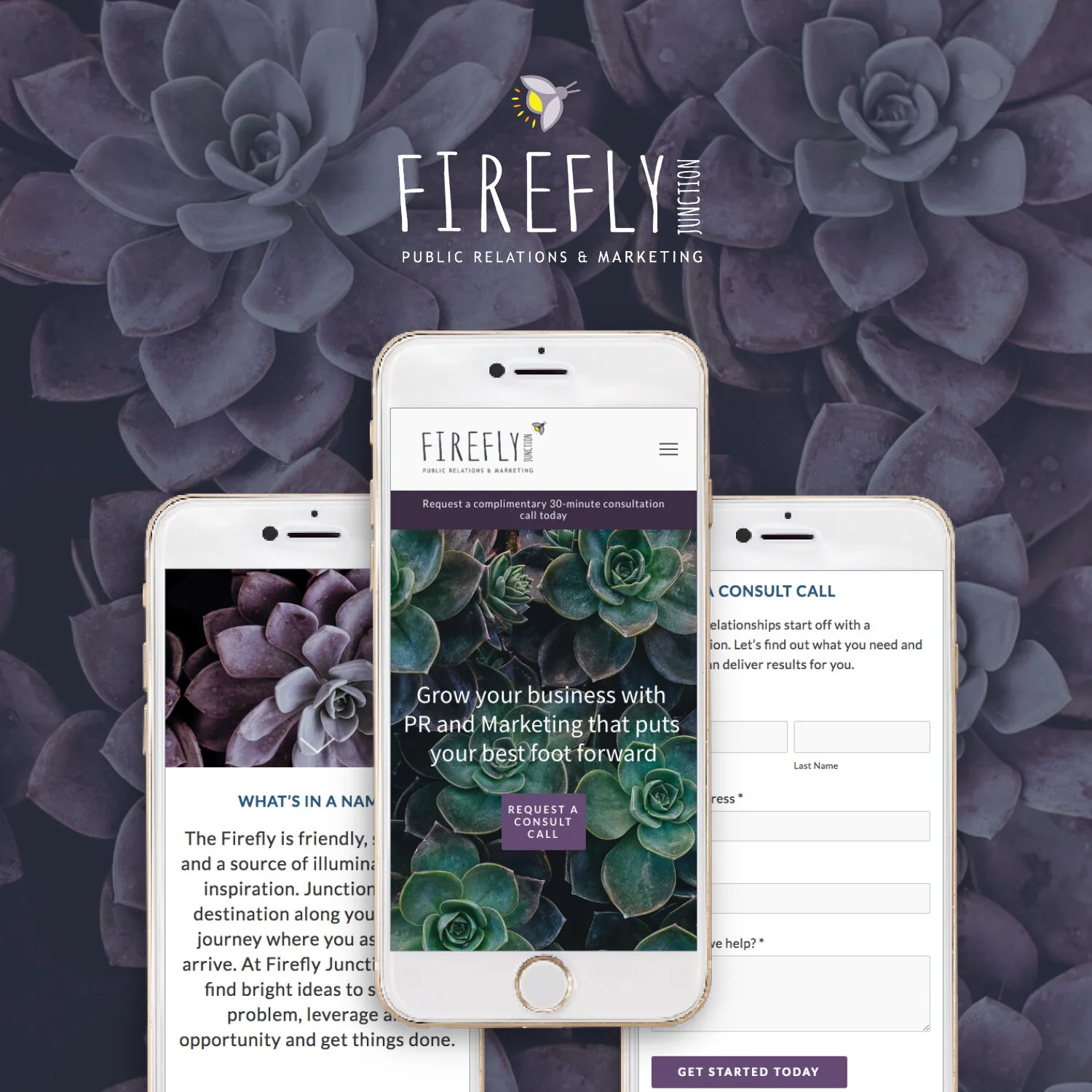 firefly-junction-PR-marketing-website-design.jpg
