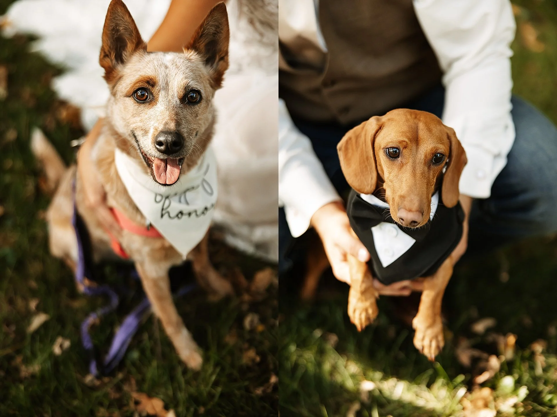 iowa-fall-wedding-bradford-guest-house_0015.jpg