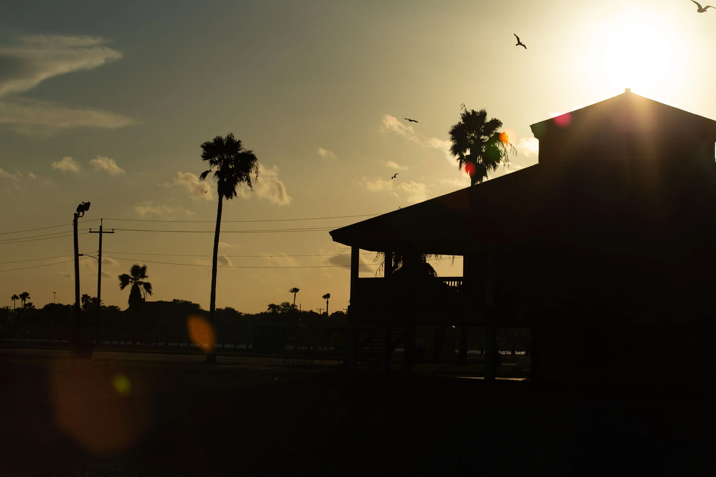 Beach Trip 2032.JPG