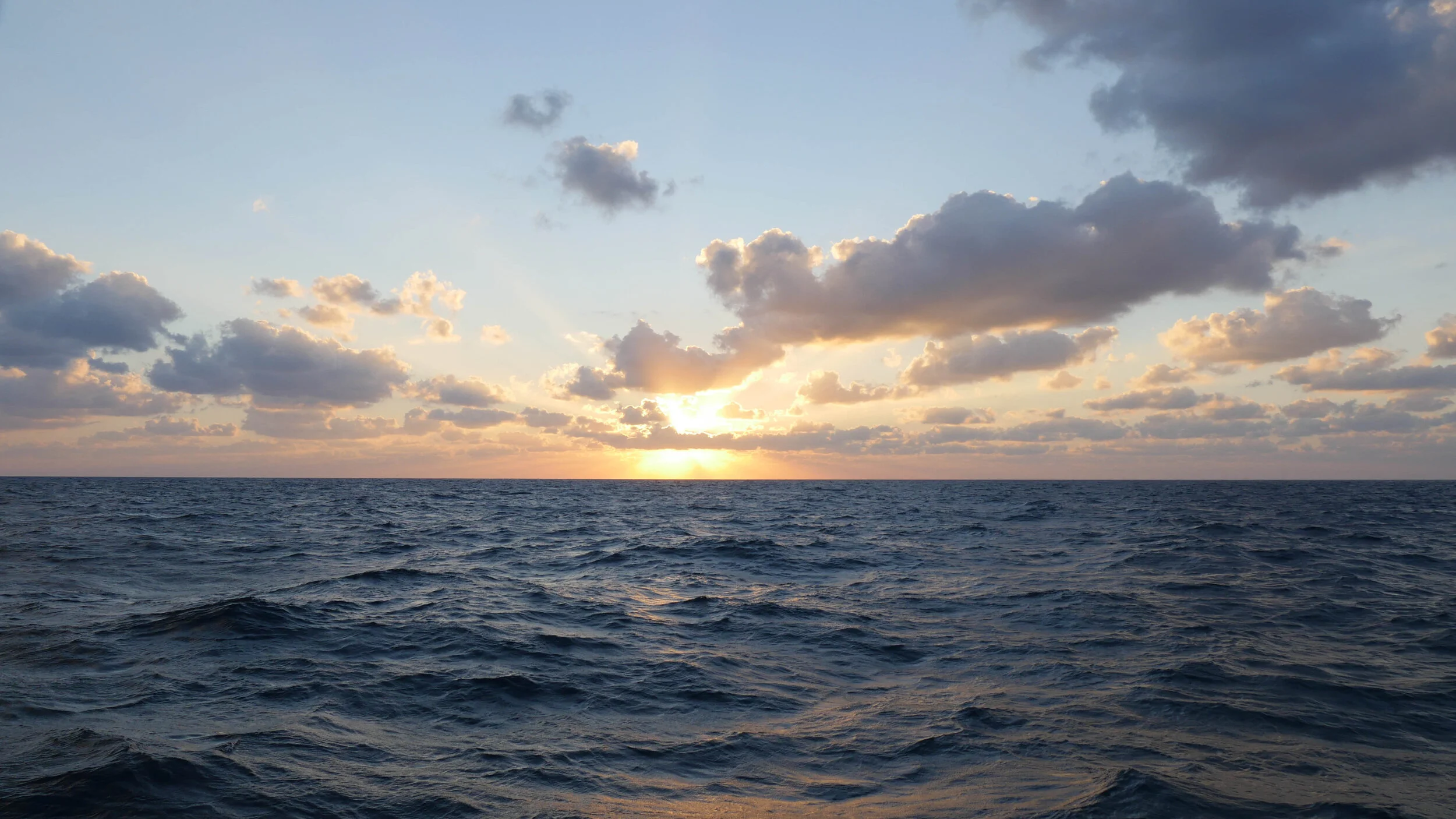 pHubb - Patrick Hubbard - Landscape-1-5.jpg