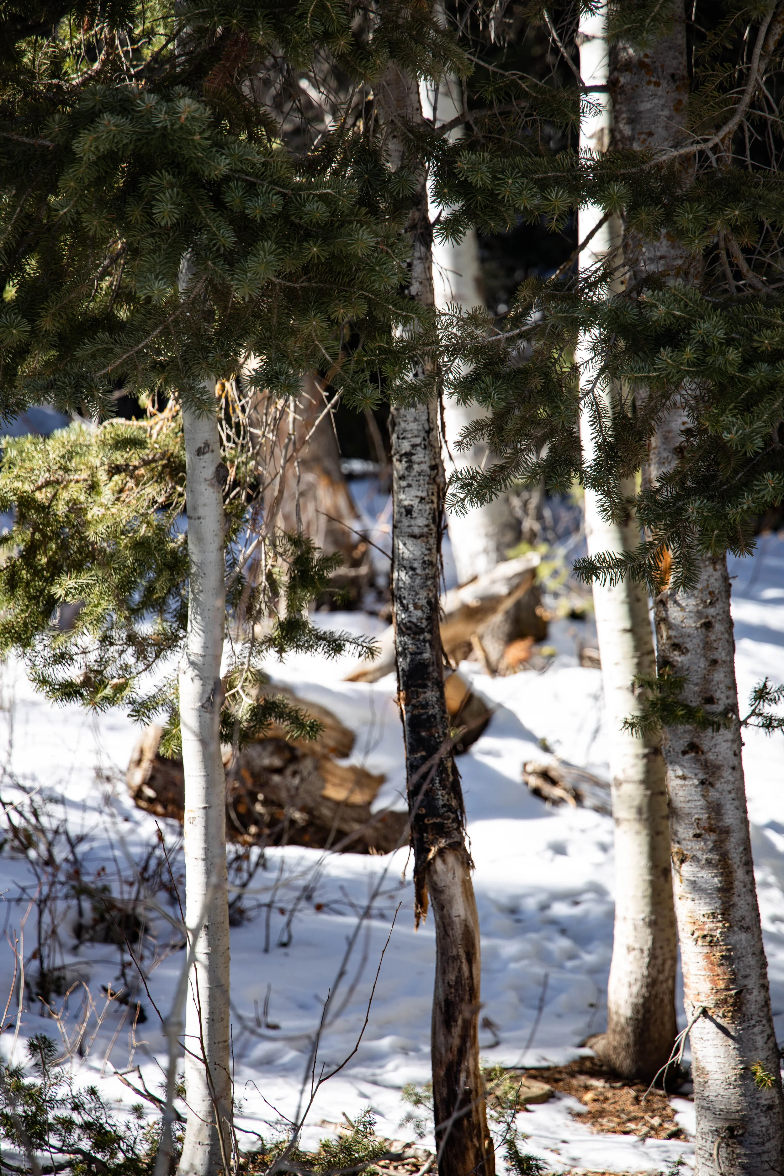 pHubb - Patrick Hubbard - Landscape-1-4.jpg