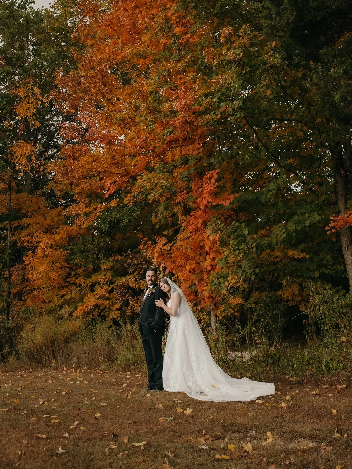 All the fall colors for these two. 🍂🍁🌹