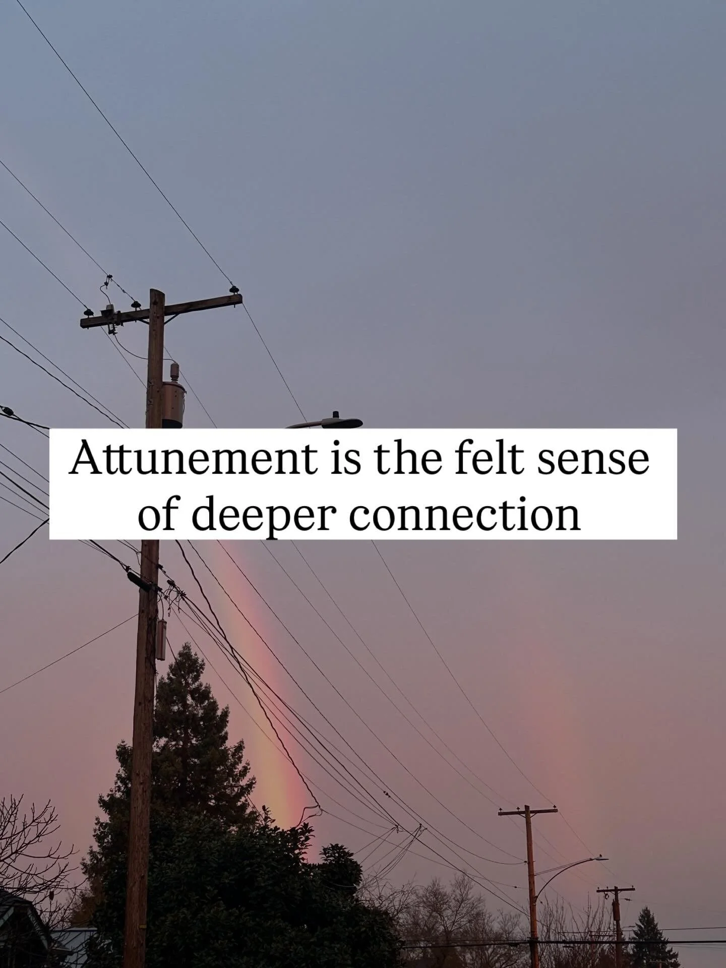 Attunement doesn&rsquo;t require analyzing, or alienating language.

This is the act of feeling connection within relationship.

It&rsquo;s the sensation that arises before any word is spoken. 

It&rsquo;s our body&rsquo;s subtle response to a situat