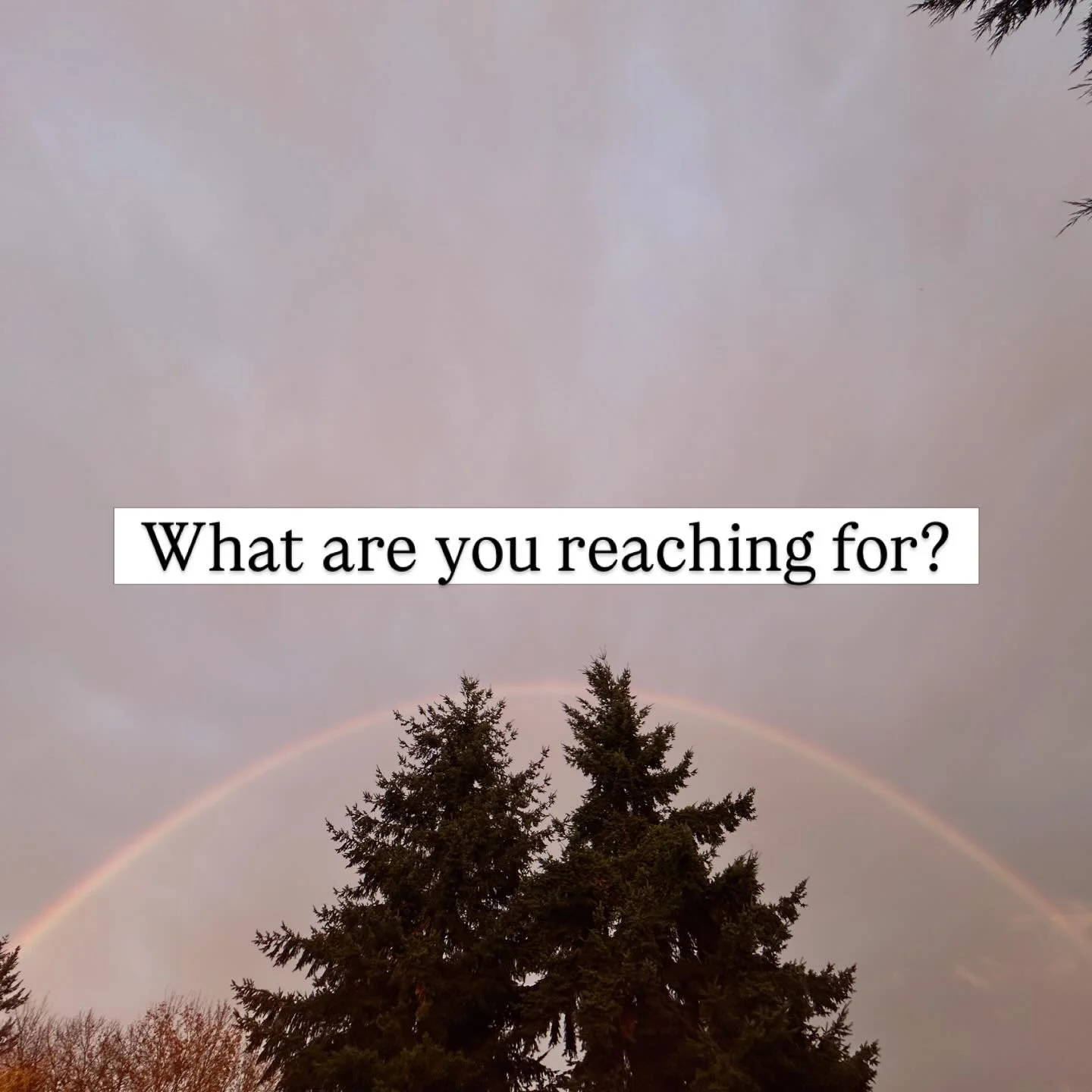 What are you reaching for?

As bodyworkers and somatic practitioners, what desires fuel your action, what holds your attention?

What changes do you want to see and what help do you need?

These are the questions I&rsquo;m asking in my free class, co