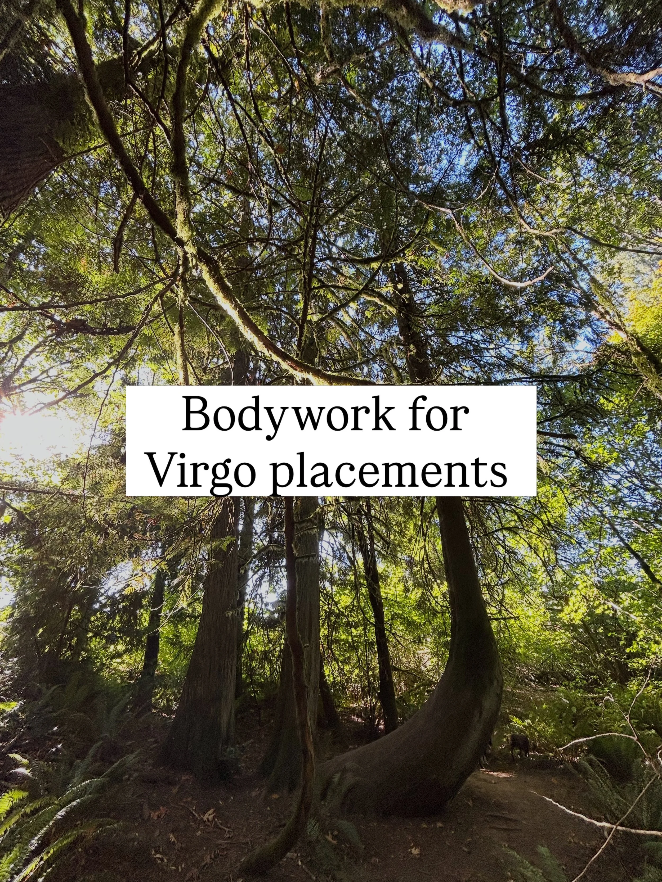 Virgo is associated with the abdomen, intestines, and pancreas.

This energy is responsible for the part of digestion that requires regulation, organization and discernment.

Virgo invites us to notice what we are taking in. To notice what we are con