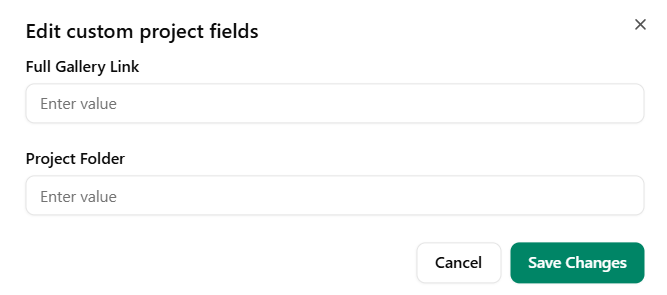 Enter custom project field information