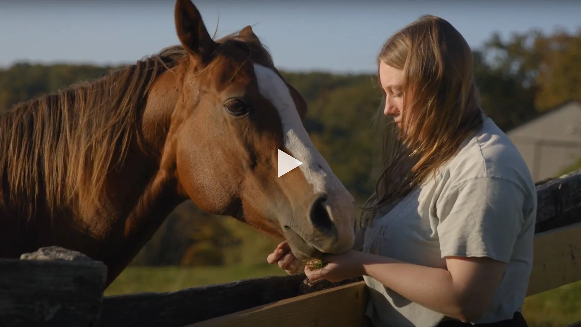 Devereux Advanced Behavioral Health - Connecticut Marketing Video