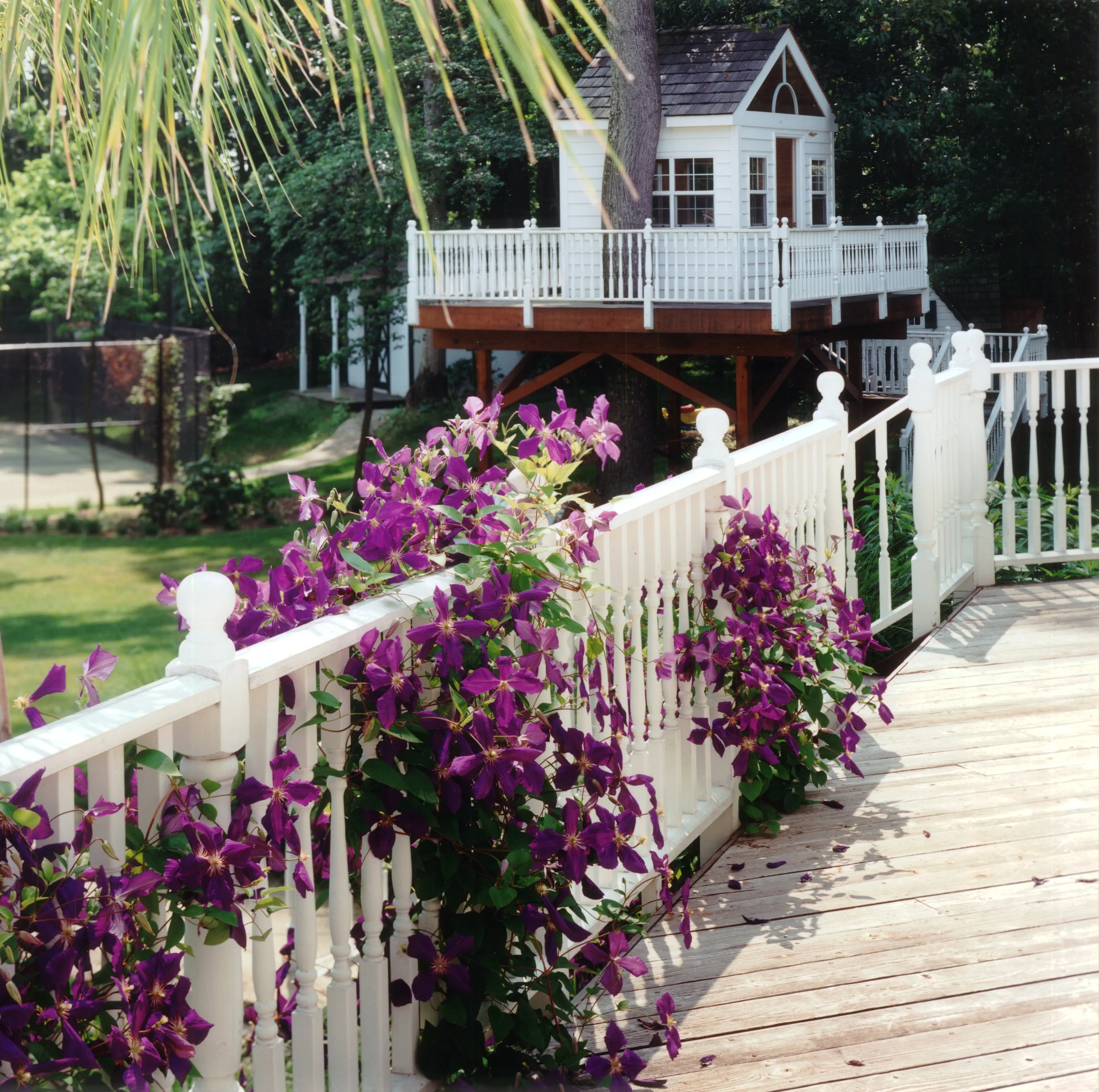high res tree house.jpg