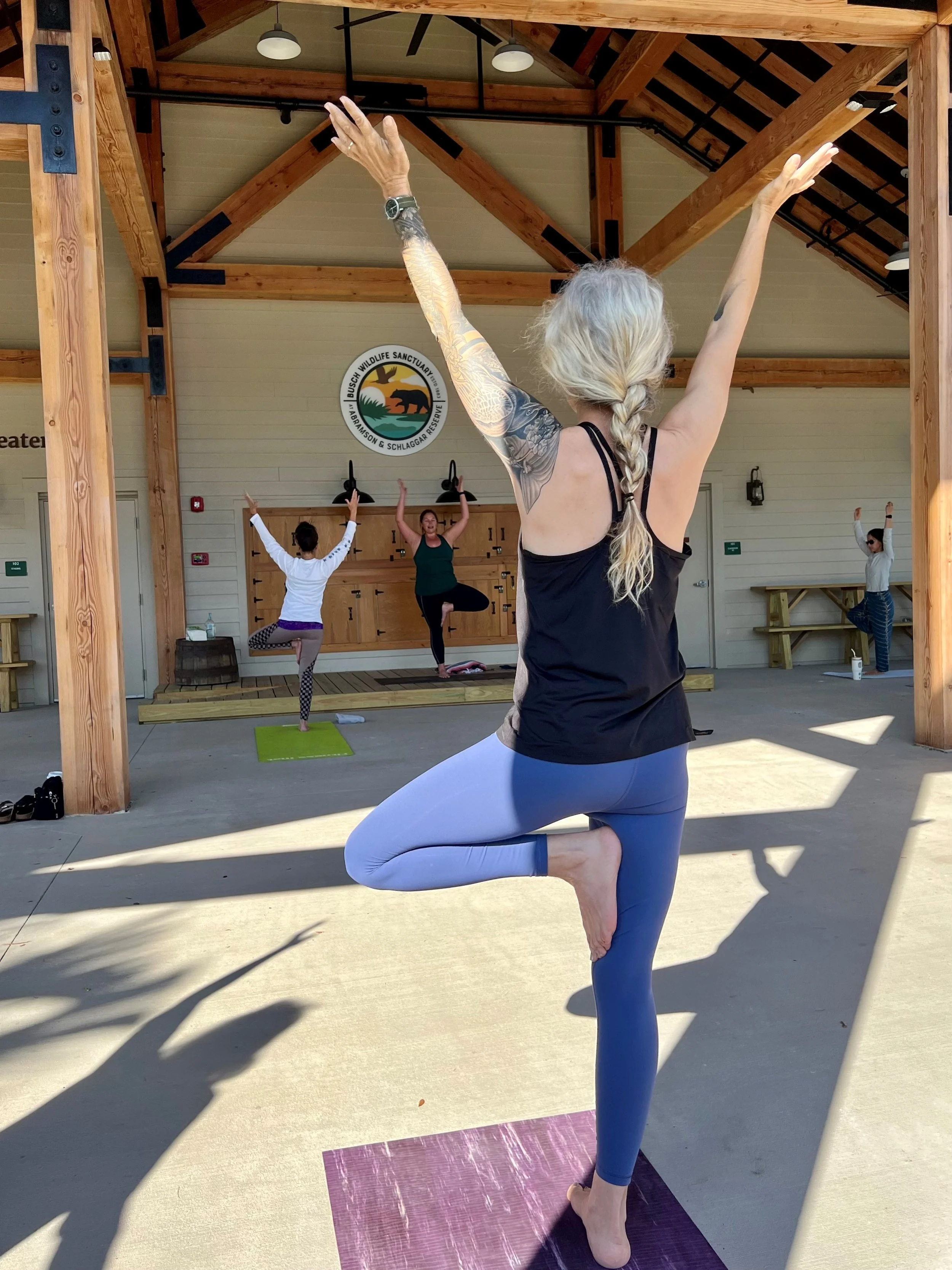 yoga1.jpg
