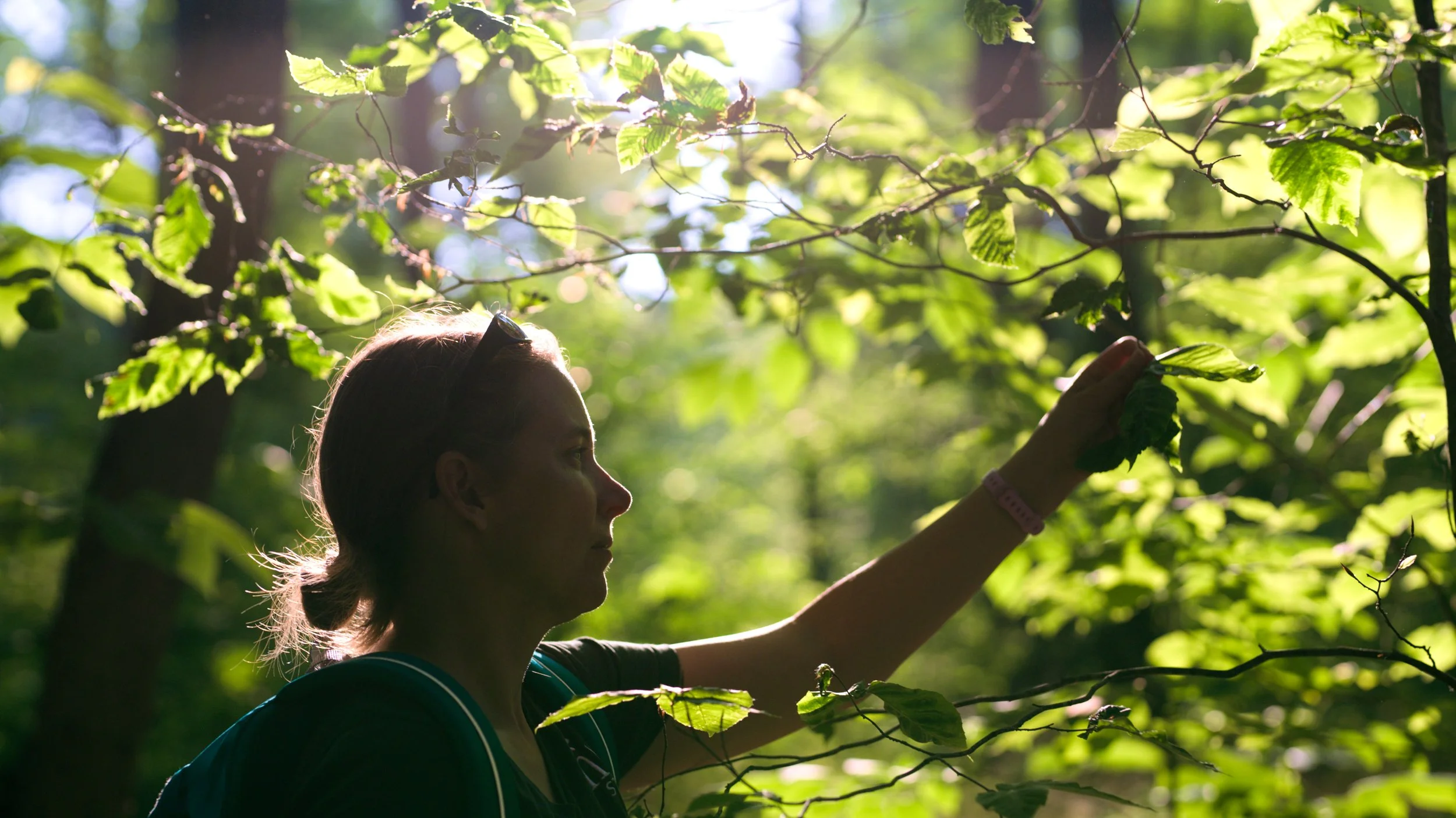 LSC - Final 01.00_01_27_03.Still005.jpg