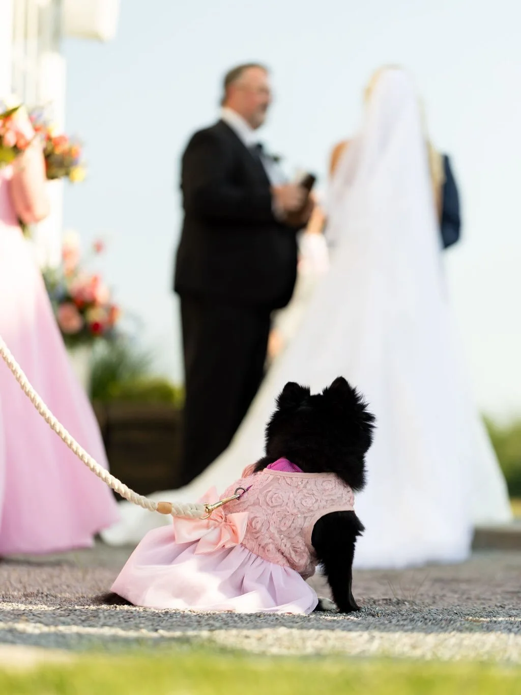 Back to our &ldquo;Favorite Photo of the Week&rdquo; 🐾⁣
⁣
I don&rsquo;t know what it is, but I am absolutely obsessed with this photo of K + J&rsquo;s sweet little Pomeranian flower girl. 🌸 She completely stole the show, and honestly... it might ju
