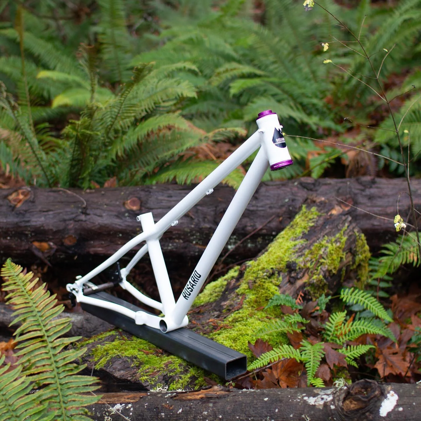 Reposting this dj frame and a couple inspiration photos to promote the Anacortes pumptrack fundraiser on March 18th. I love pumptracks and have been advocating for one in Anacortes for over 10 years. It&rsquo;s been a long journey to get to this poin