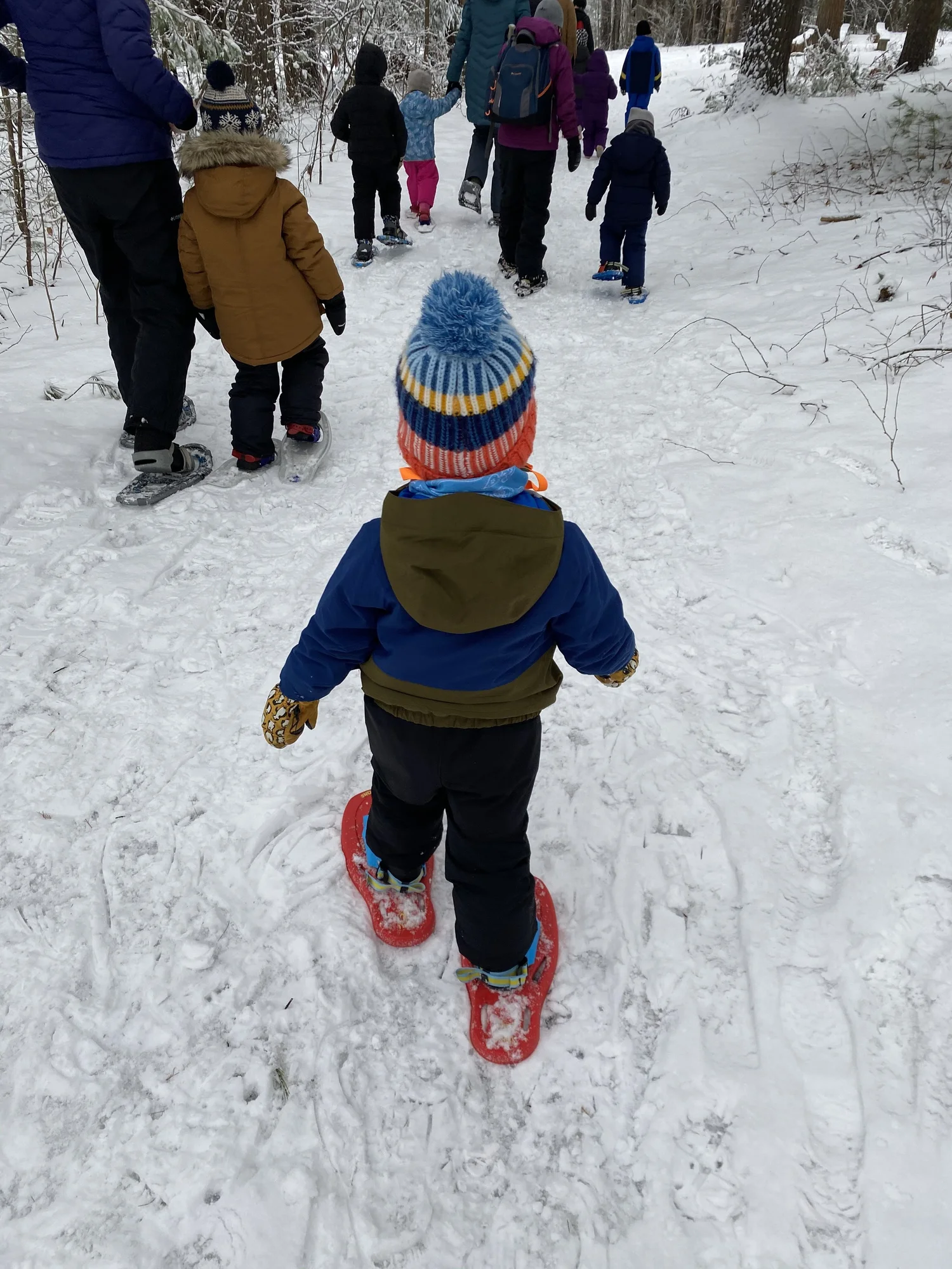 Snowshoe/Ski Rentals