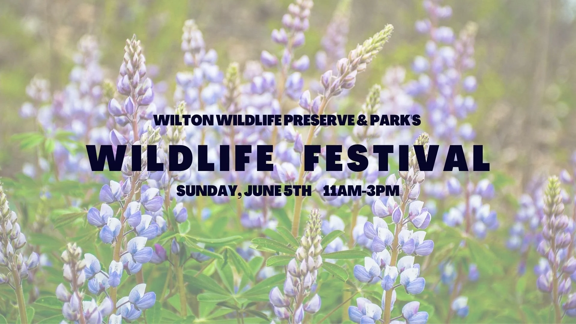 Wilton Wildlife Preserve & Park