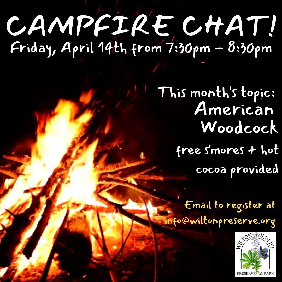 Campfire Chats April 2023.jpg