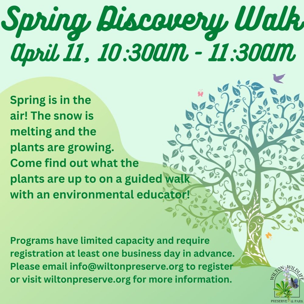 Spring Discovery Flyer.jpg