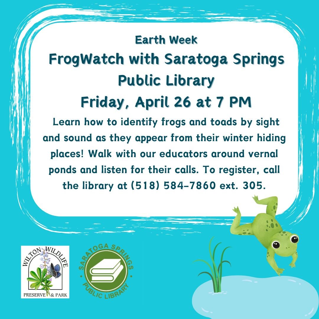 Friday, April 26 at 7 PM - FrogWatch Walk with Saratoga Springs Public Library🐸

Learn how to identify frogs and toads by sight and sound as they appear from their winter hiding places! Walk with Wilton Wildlife educators around vernal ponds and lis