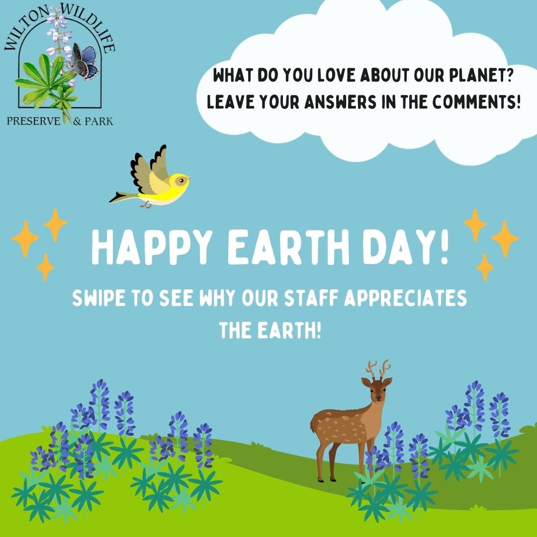 Happy Earth Day from Wilton Wildlife Preserve &amp; Park🌎🌍🌏

We can not wait to celebrate this week with you all during all our educational programs!

LEAVE A COMMENT: What do you love about our planet? 

#wiltonpreserve #earthday #earthweek #envi