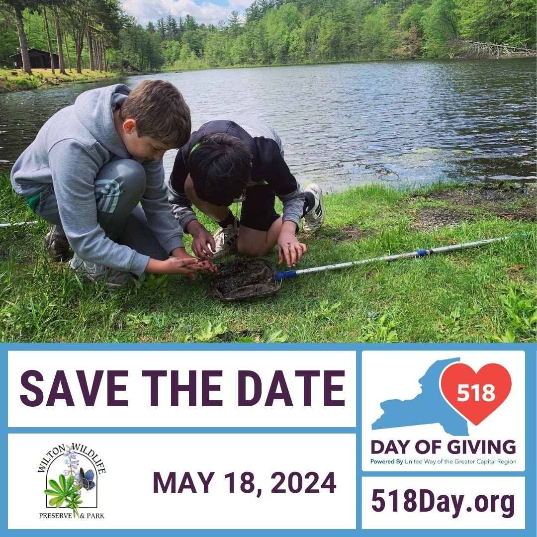 Wilton Wildlife Preserve &amp; Park is thrilled to be participating in the United Way of the Greater Capital Region's 518 Day of Giving! Please consider making a donation to support our mission in environmental education, conservation, and outdoor re