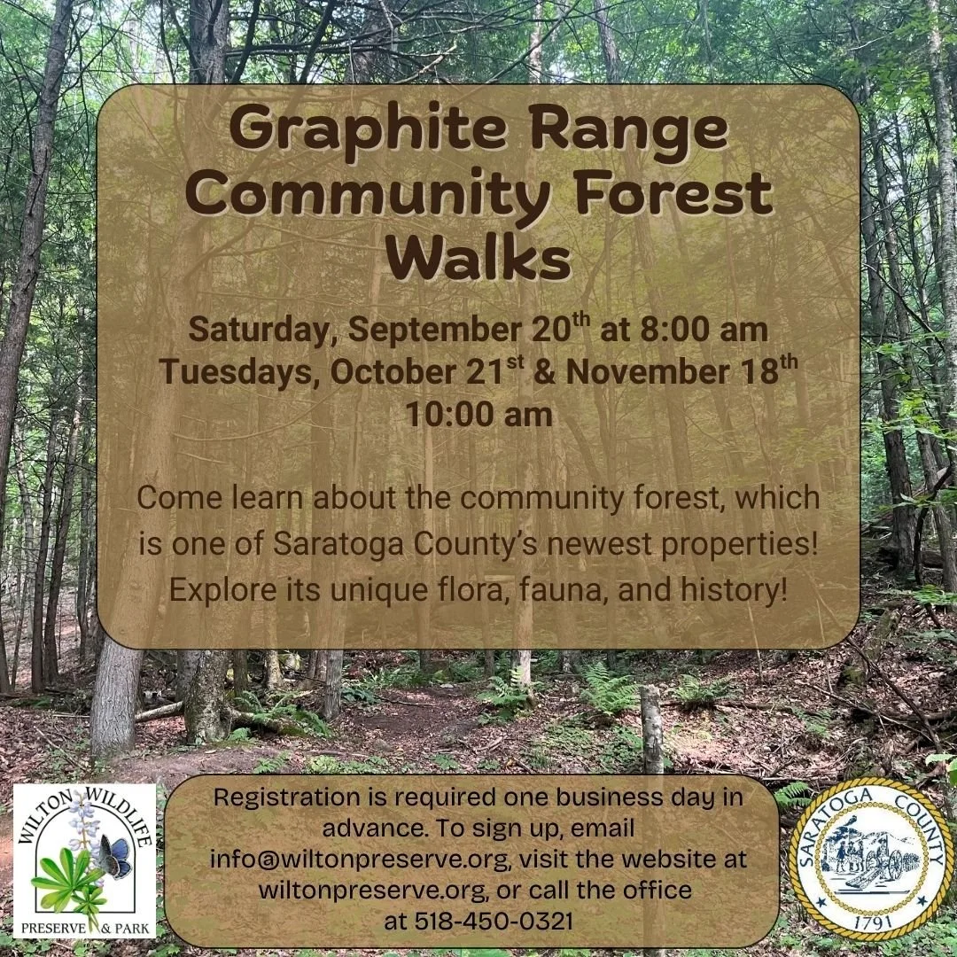 Graphite Range Community Forest Walk