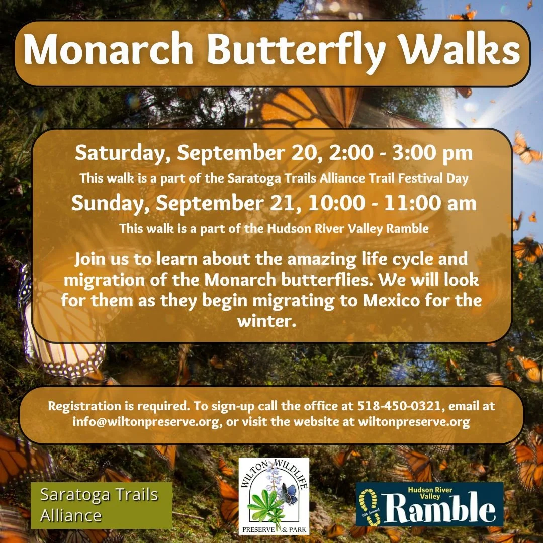 Monarch Butterfly Walk