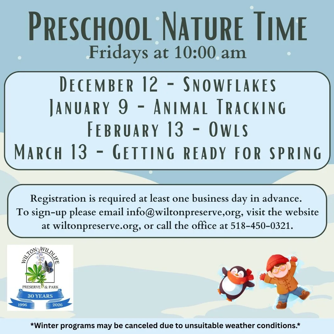 Preschool Nature Time