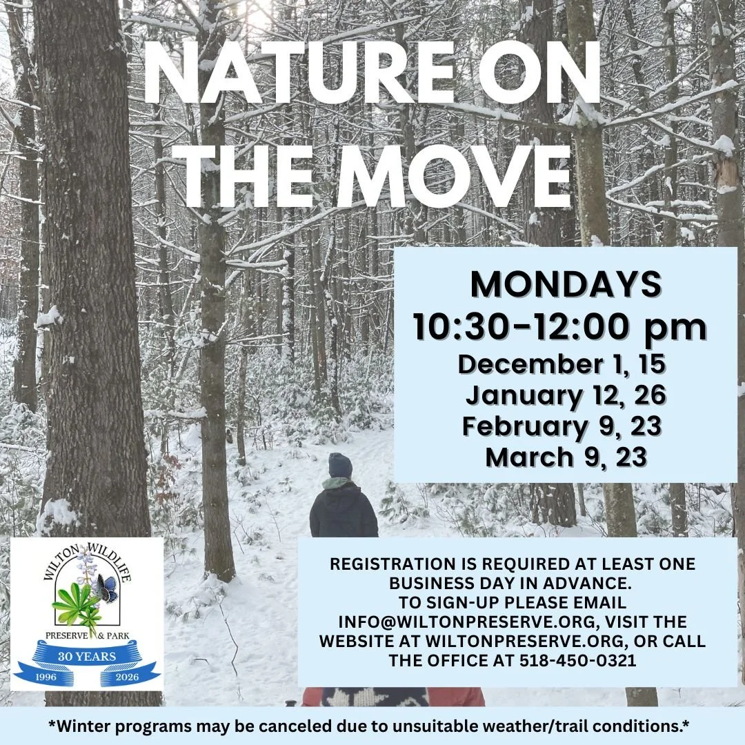 Nature on the Move