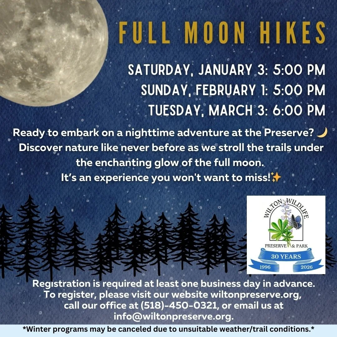 Full Moon Hike