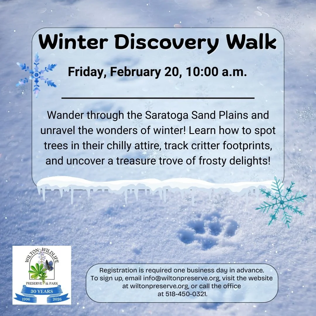 Winter Discovery Walk