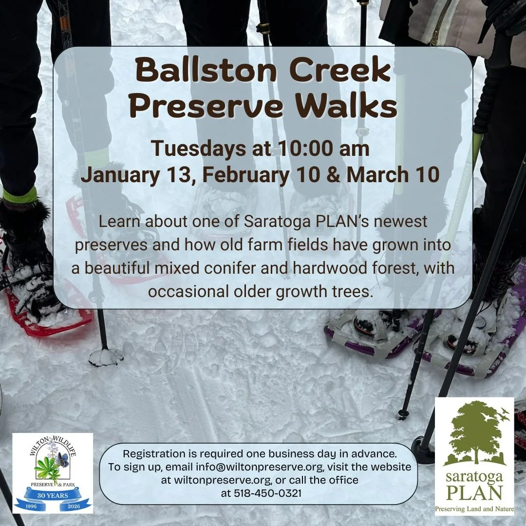 Ballston Creek Preserve Walk