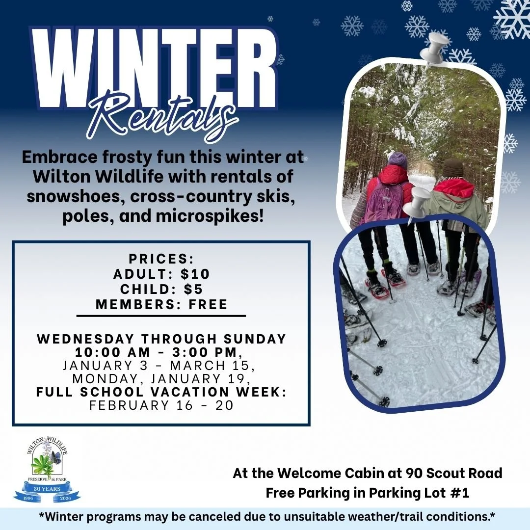 Snowshoe and Cross-Country Ski Rentals