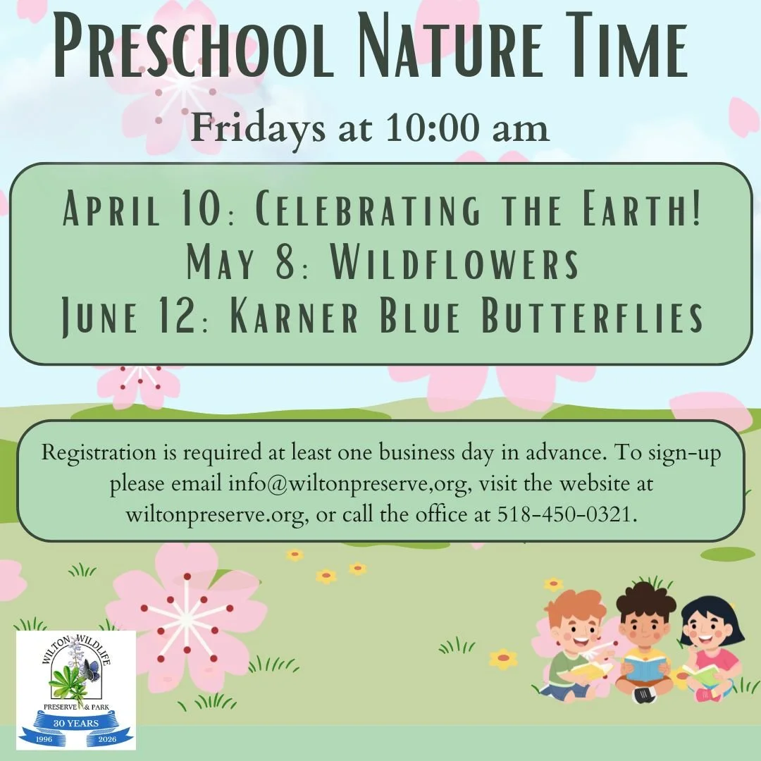 Preschool Nature Time