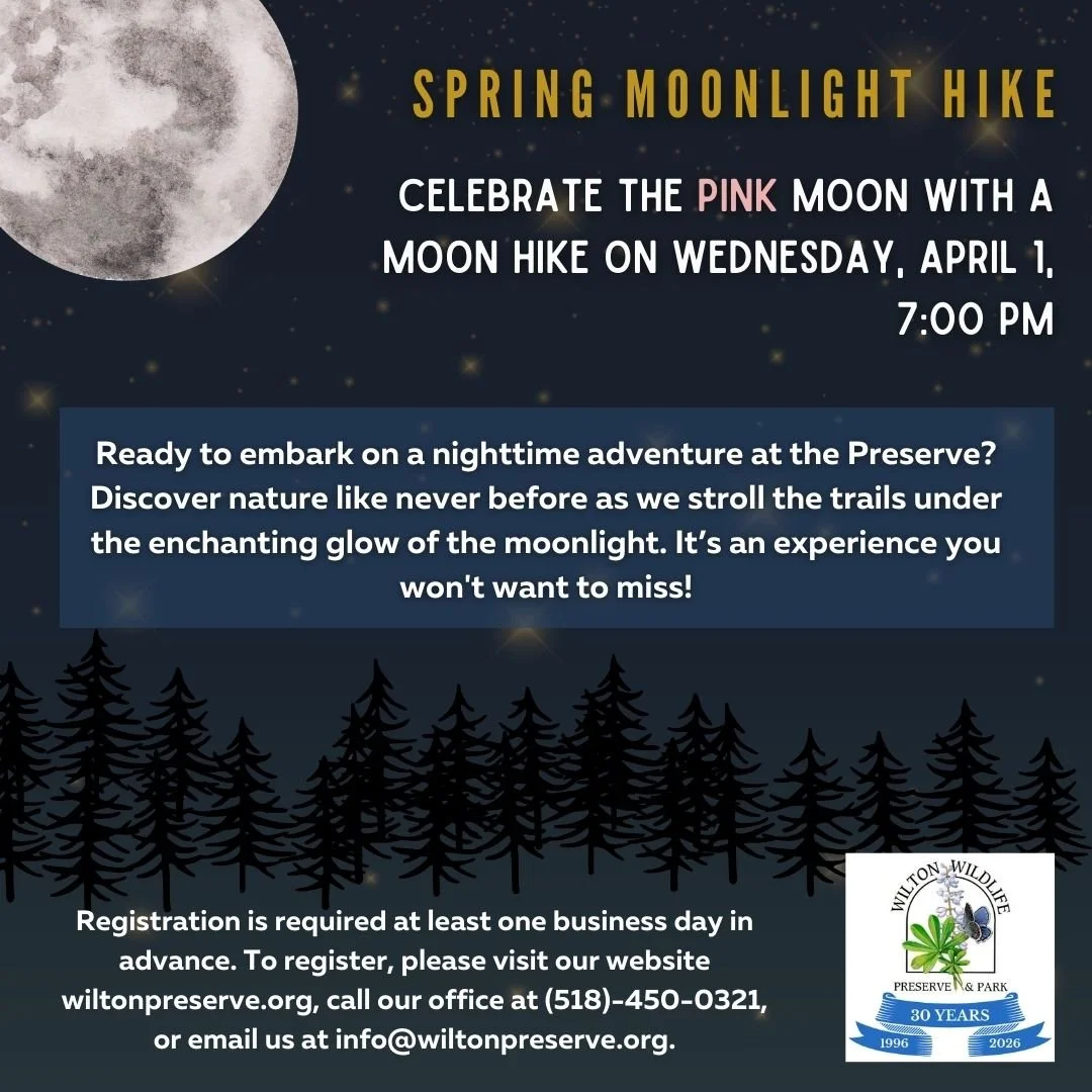 Full Moon Hike