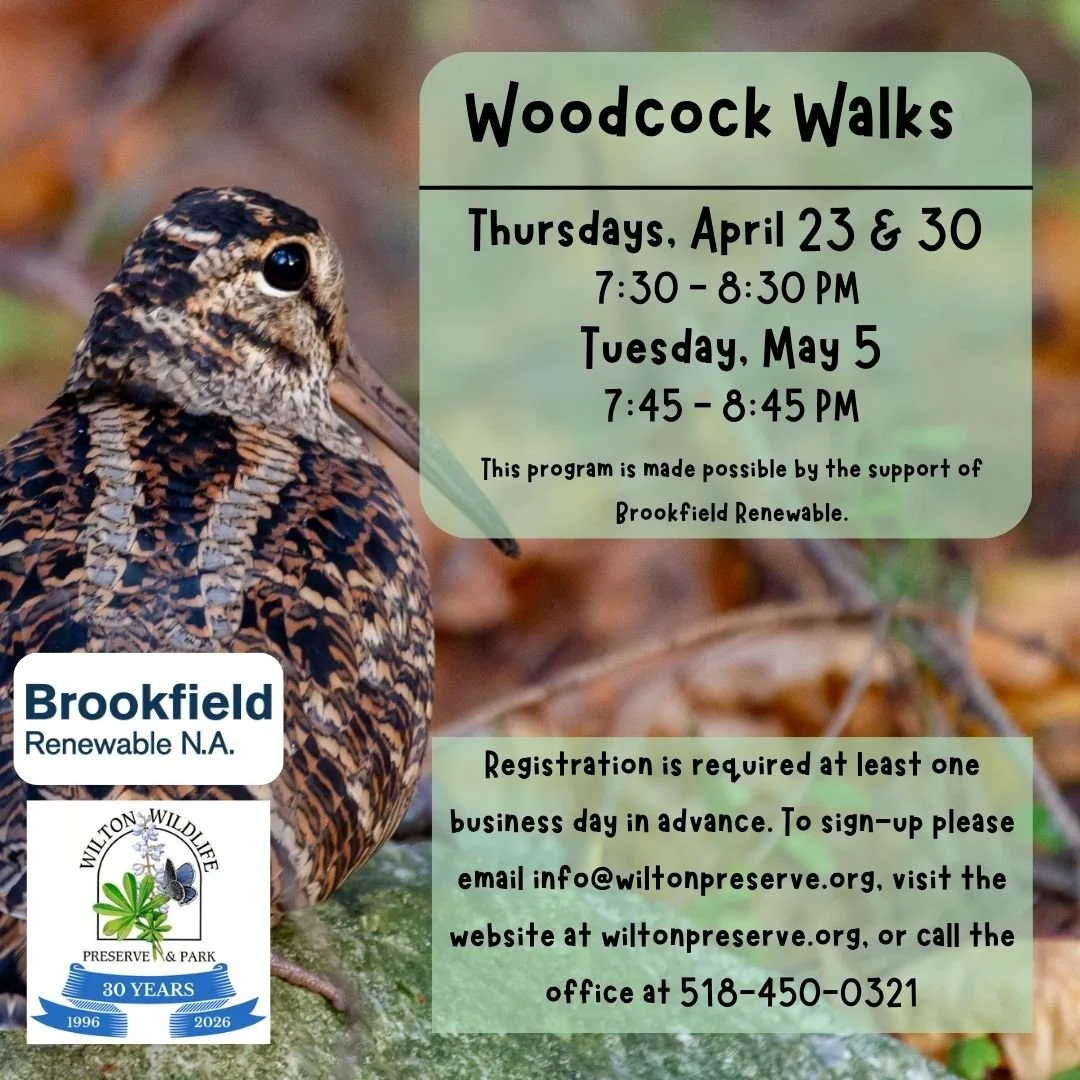 Woodcock Walk