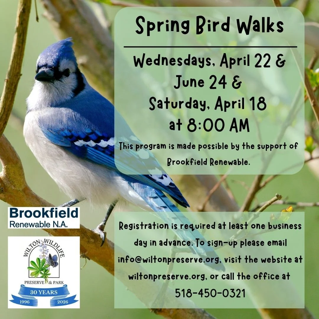 Birding Walk