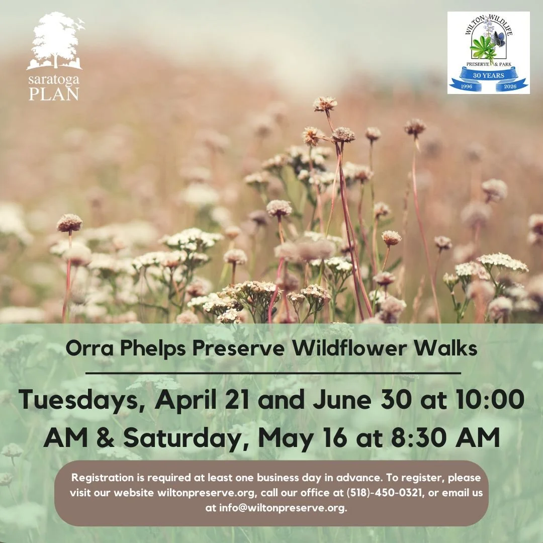 Orra Phelps Preserve Wildflower Walk