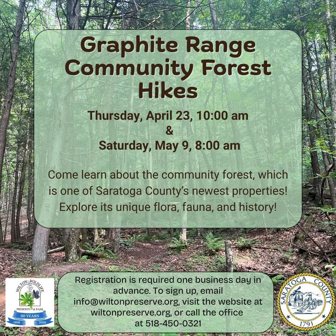 Graphite Range Community Forest Walk