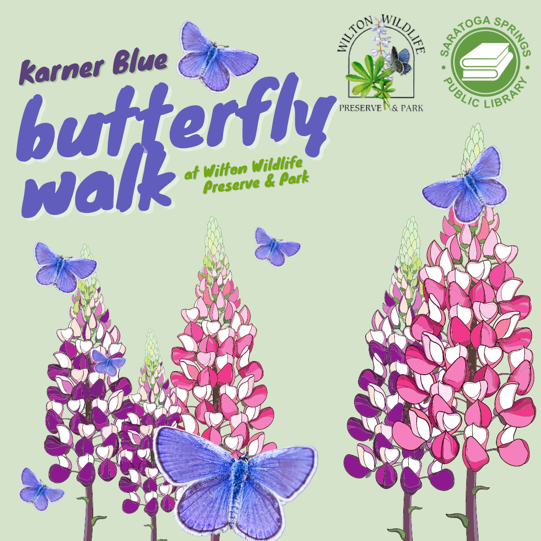 Karner Blue butterfly walk with Saratoga Springs Public Library