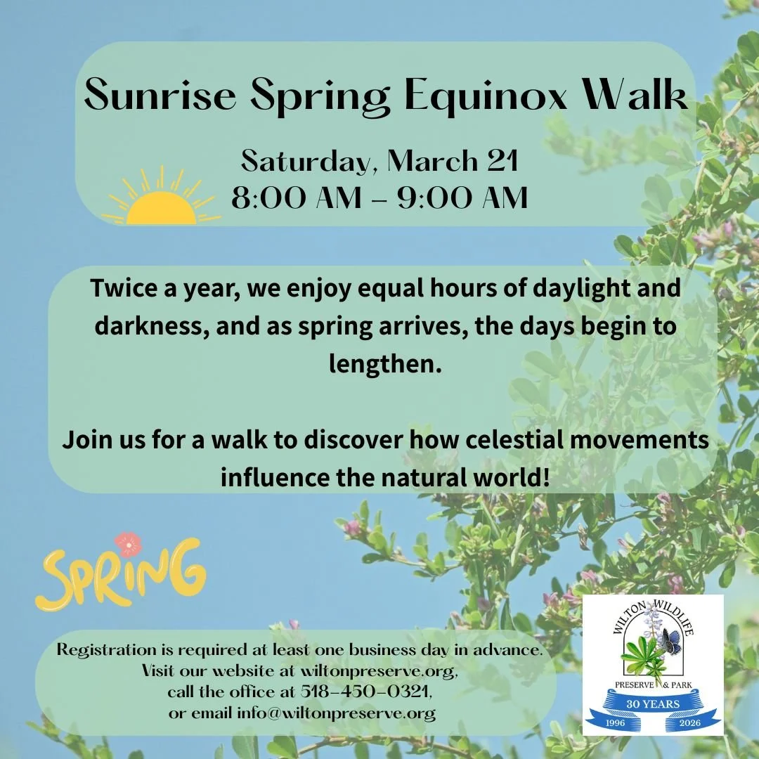 Spring Equinox Walk (1).jpg