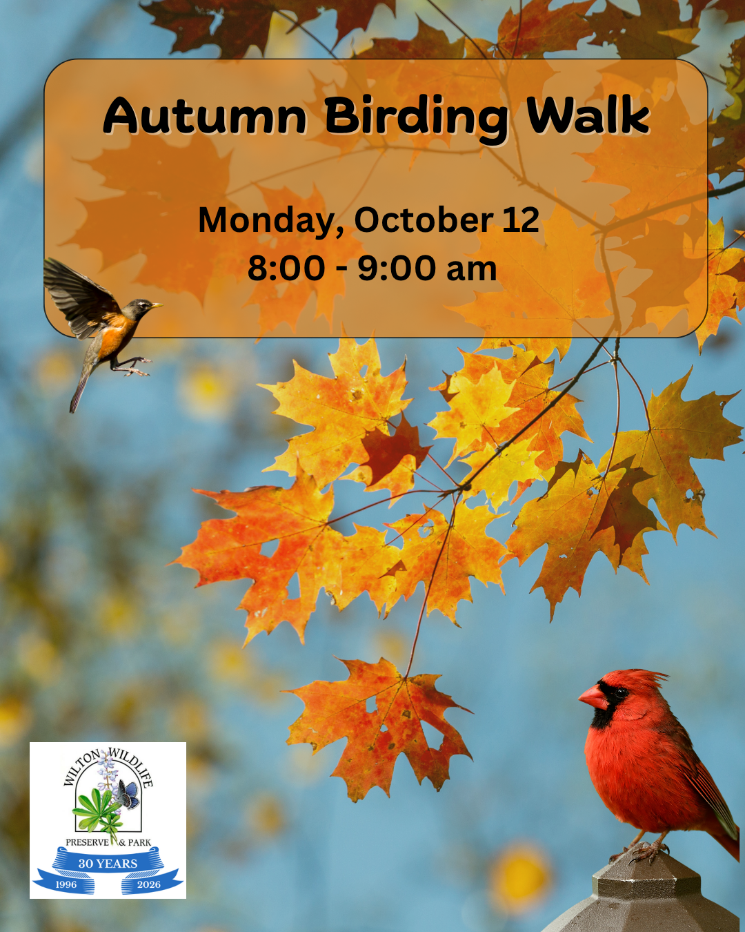 Autumn Birding Walks 2026.png