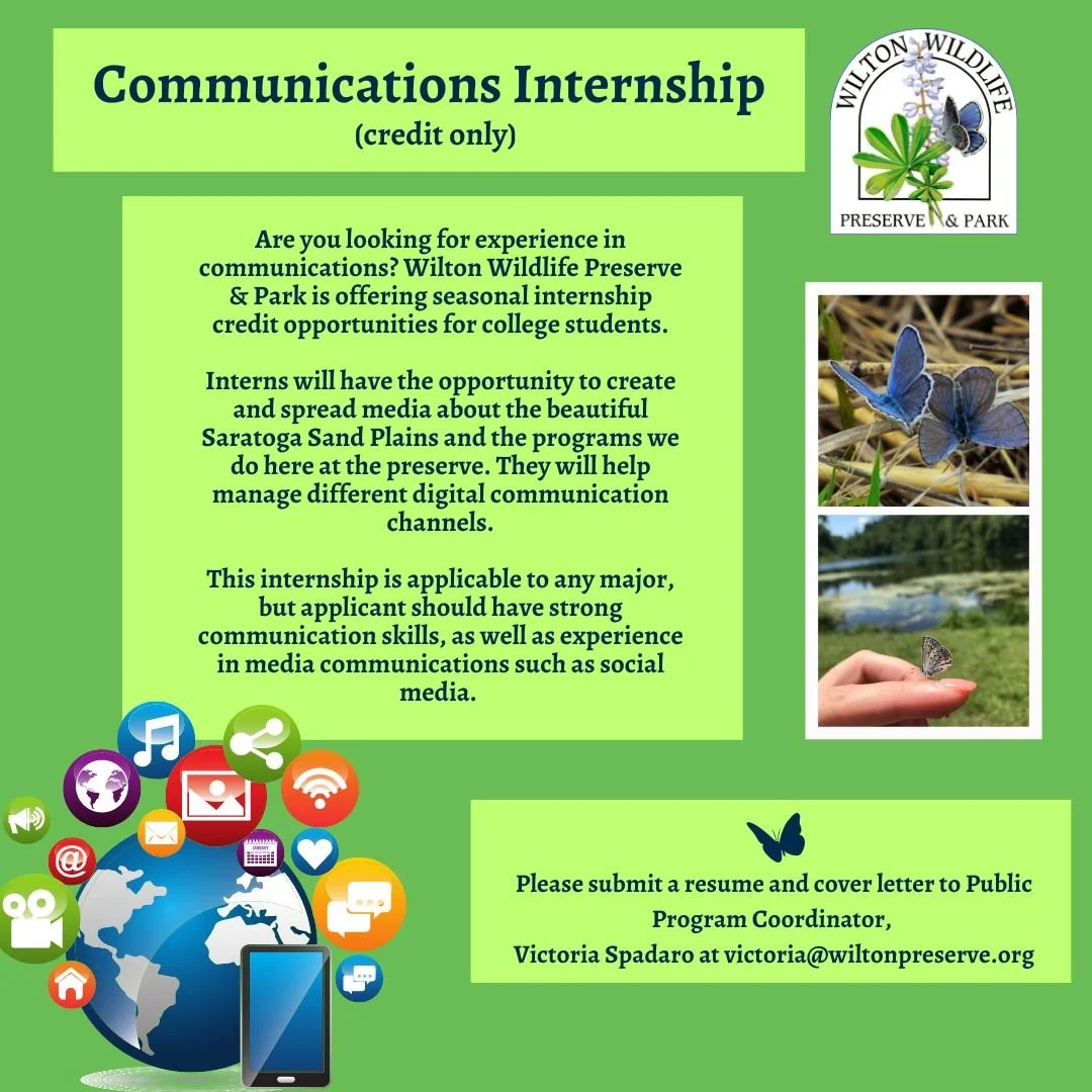 an Intern