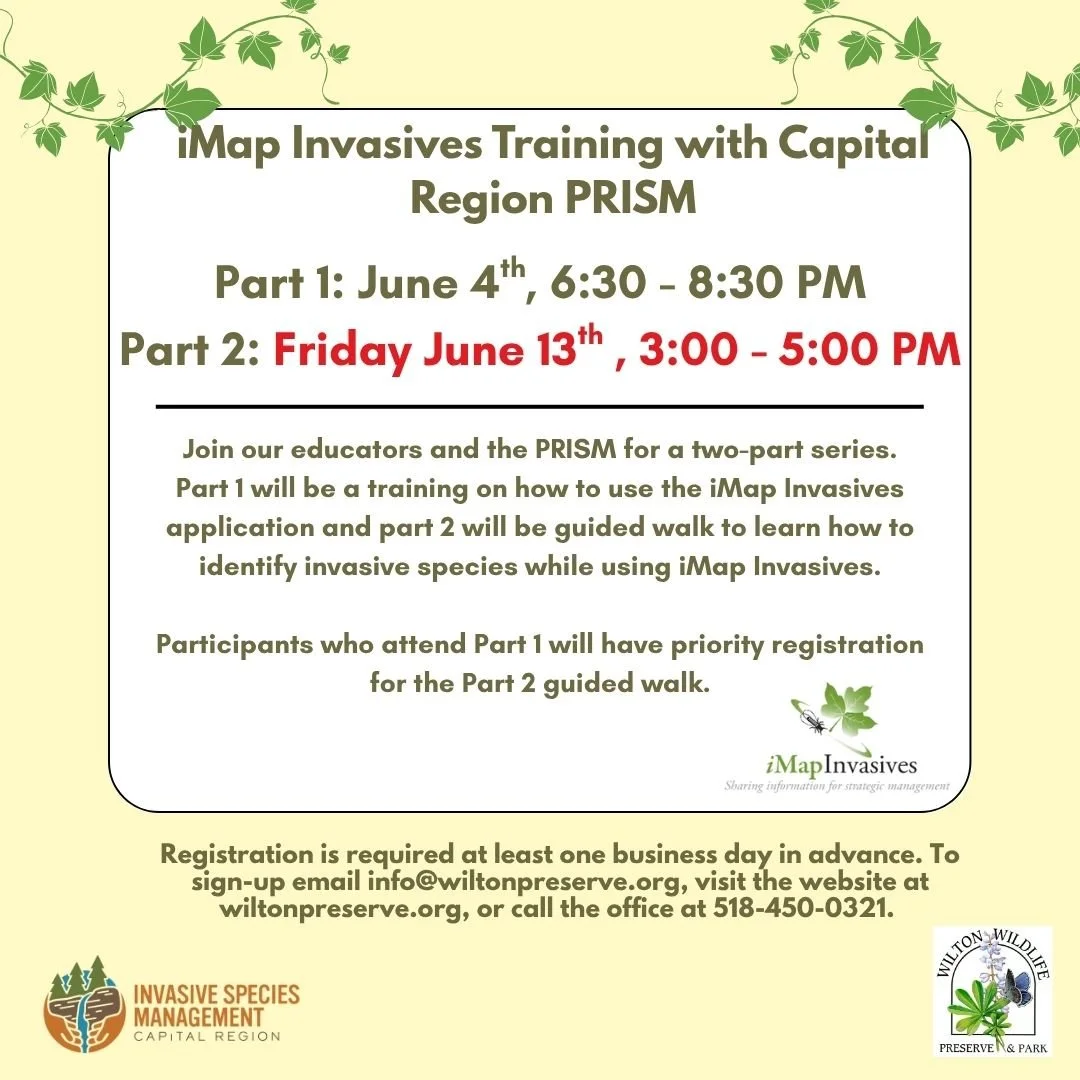iMap Invasive Species Training Part 1 — Wilton Wildlife Preserve & Park