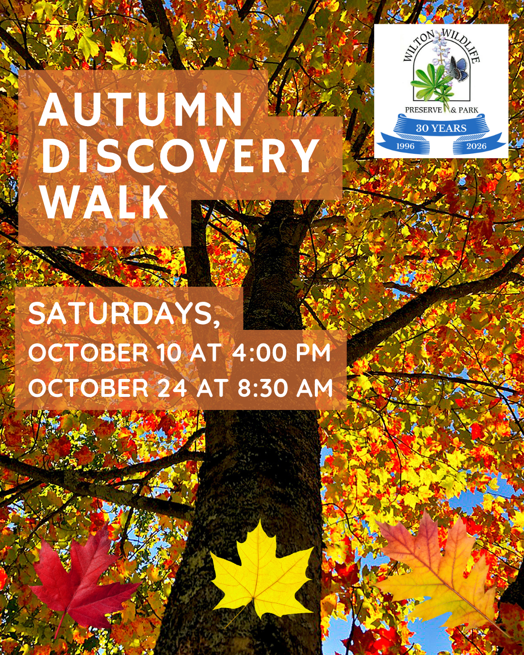Autumn Discovery Hikes 2026.png