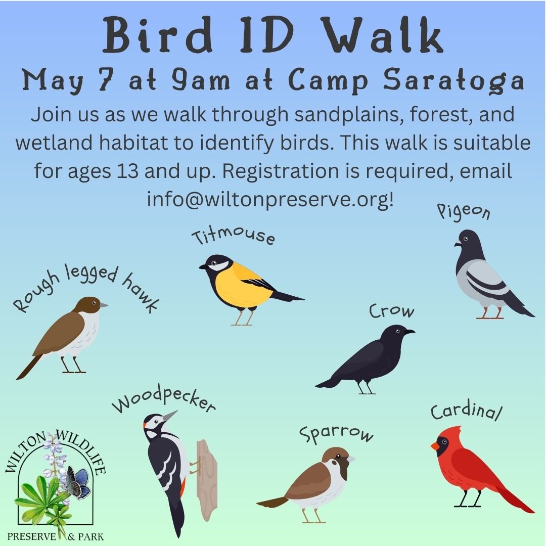 Join a Bird Walk and Learn About Birds and Bird Identification