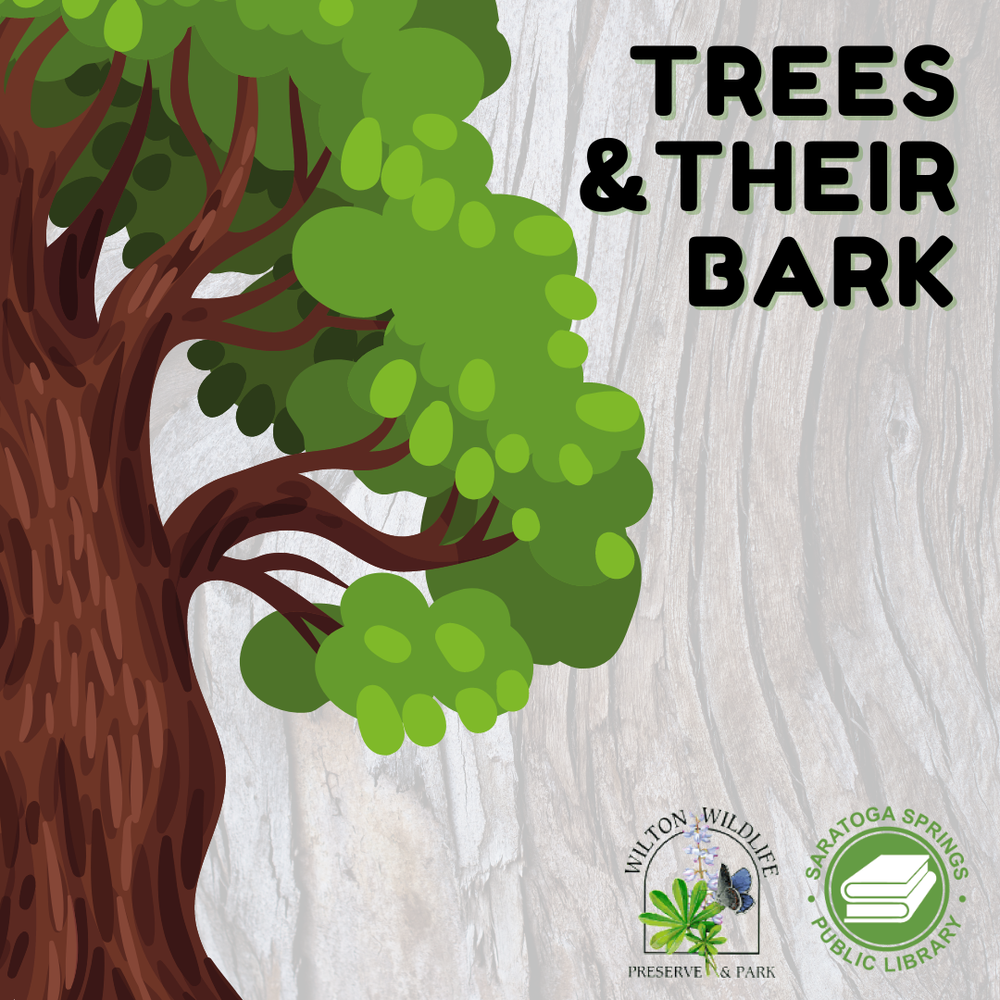 Trees and their Bark — Wilton Wildlife Preserve & Park