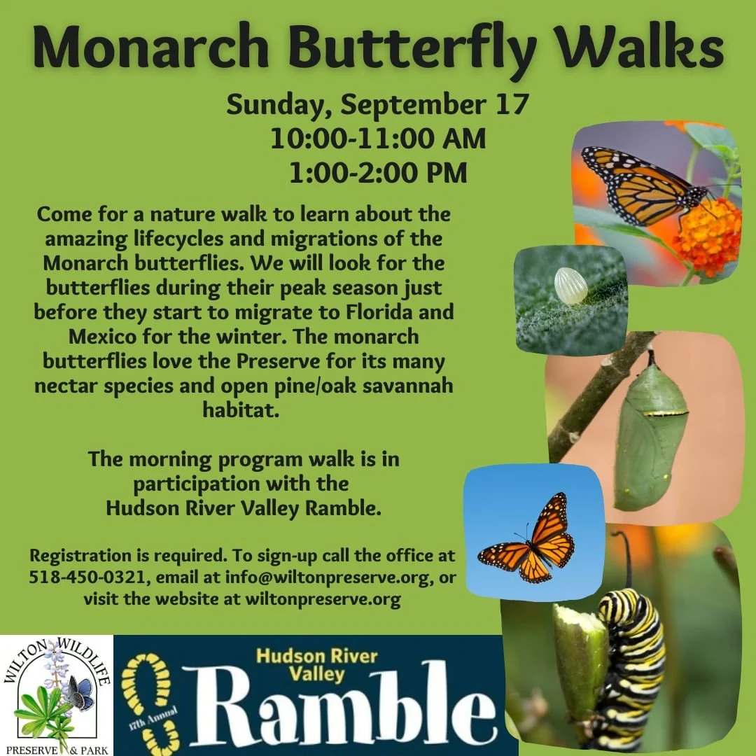 Monarch Walk — Wilton Wildlife Preserve & Park